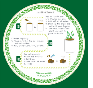 Grow Your Own Tea Gardening Kit
